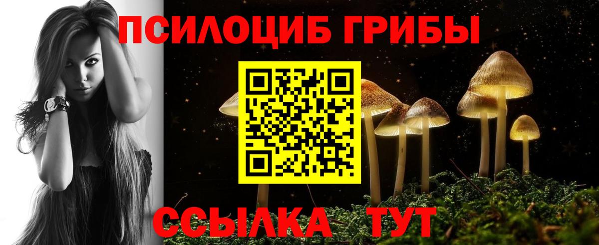 Гатчина  Псилоцибиновые грибы Psilocybine cubensis  Вход с VPN  Галлюциногенные грибы GOLDEN TEACHER 